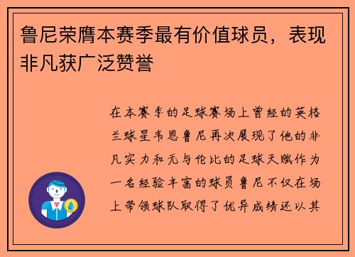 鲁尼荣膺本赛季最有价值球员，表现非凡获广泛赞誉
